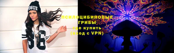 не бодяженный Аркадак