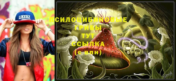 не бодяженный Аркадак