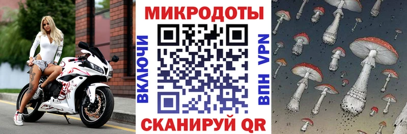 Псилоцибиновые грибы мицелий  Ленск 